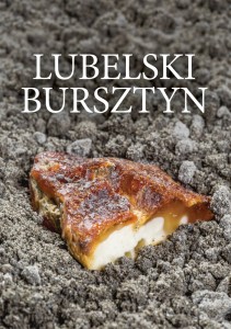 Monografia LUBELSKI BURSZTYN