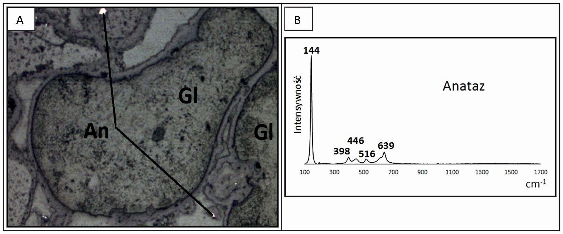 A - wrostki anatazu (An) w obrębie ziaren glaukonitu (Gl); B - widmo Ramana anatazu.