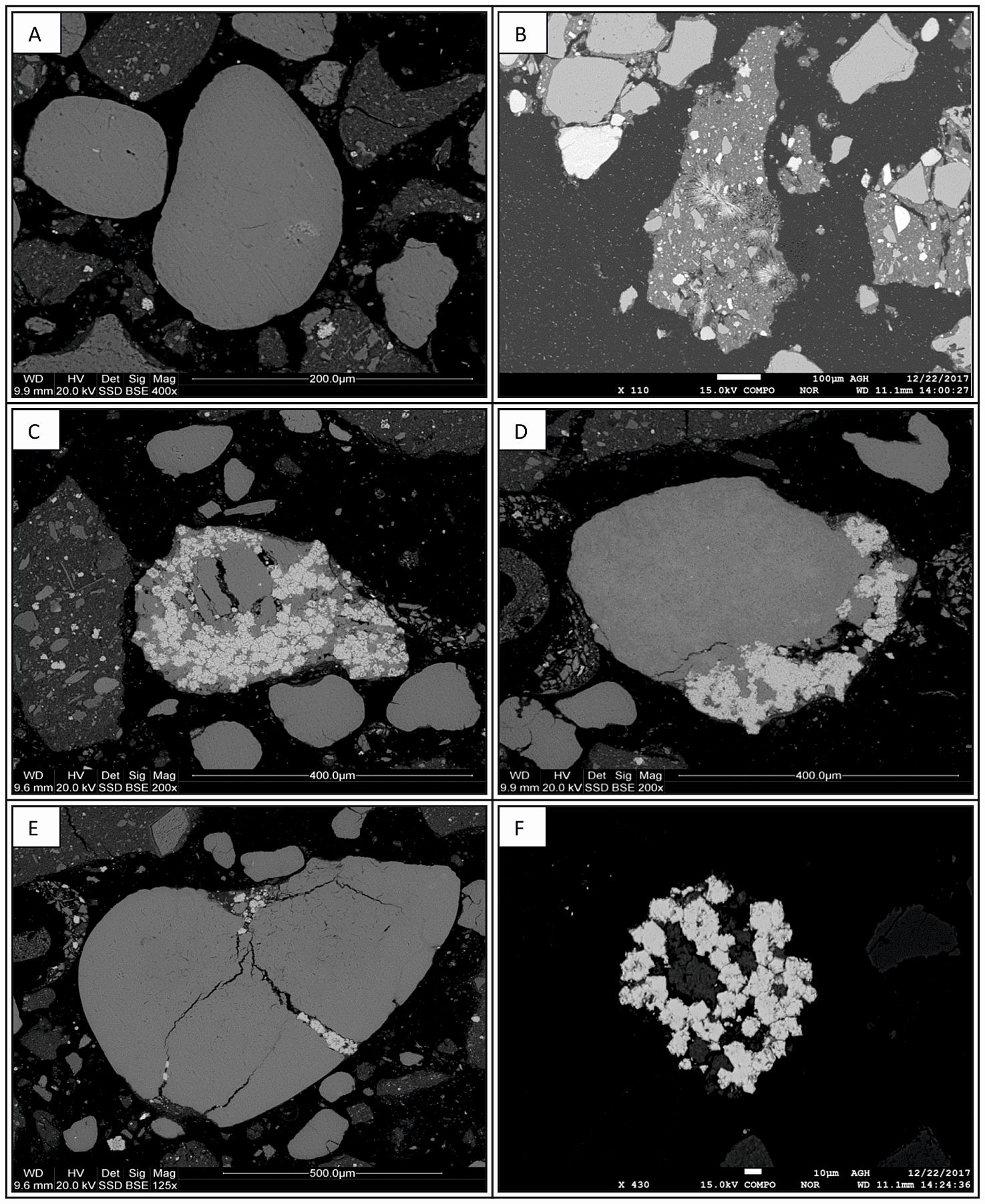 Obrazy SEM piasków kwarcowo-glaukonitowych ze złoża „Górka Lubartowska-Niedźwiada”. A - widoczne różnej wielkości i stopnia obtoczenia ziarna glaukonitu; B - widoczne obwódki regeneracyjne wokół ziaren glaukonitu oraz różnej wielkości agregaty, w których obecne są rozetowe skupienia kryształów gipsu; C,D – różne formy skupień ziaren pirytu wewnątrz i na obrzeżach ziaren glaukonitu; widoczne ponadto drobne fragmenty bioklastów (D); E - duże ziarno glaukonitu, w którym szczeliny spękań wypełniają wtórne minerały, w tym związki Fe; F - euhedralne ziarna pirytu w matrycy glaukonitowej.