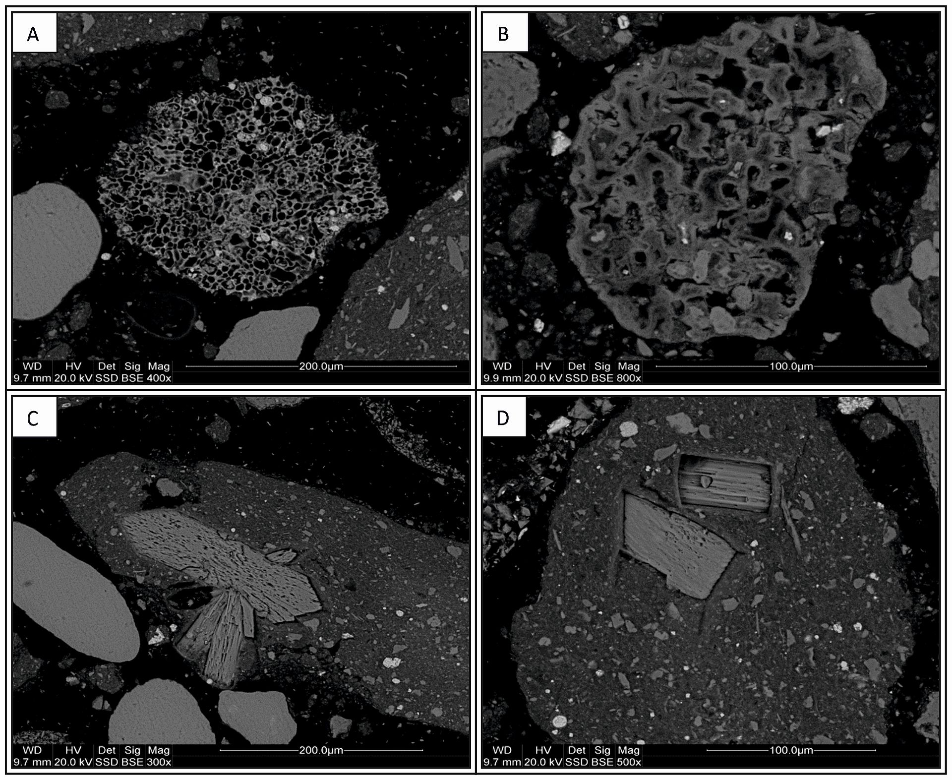 Obrazy SEM piasków kwarcowo-glaukonitowych ze złoża „Górka Lubartowska-Niedźwiada”. A,B - pseudomorfozy po formach organicznych zbudowane z fosforanu wapnia (apatyt?), C,D - kryształy gipsu tkwiące w agregatach kwarcowo-ilastych.