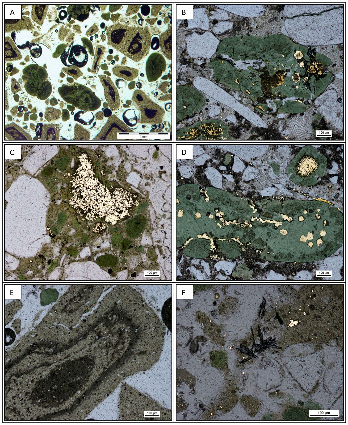 Obrazy mikroskopowe piasku kwarcowo-glaukonitowego ze złoża „Górka Lubartowska-Niedźwiada”.